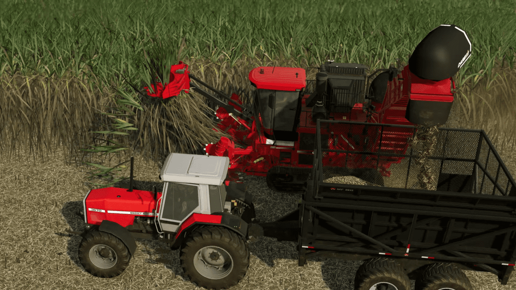 Farming Simulator 23 - Cana-de-açúcar